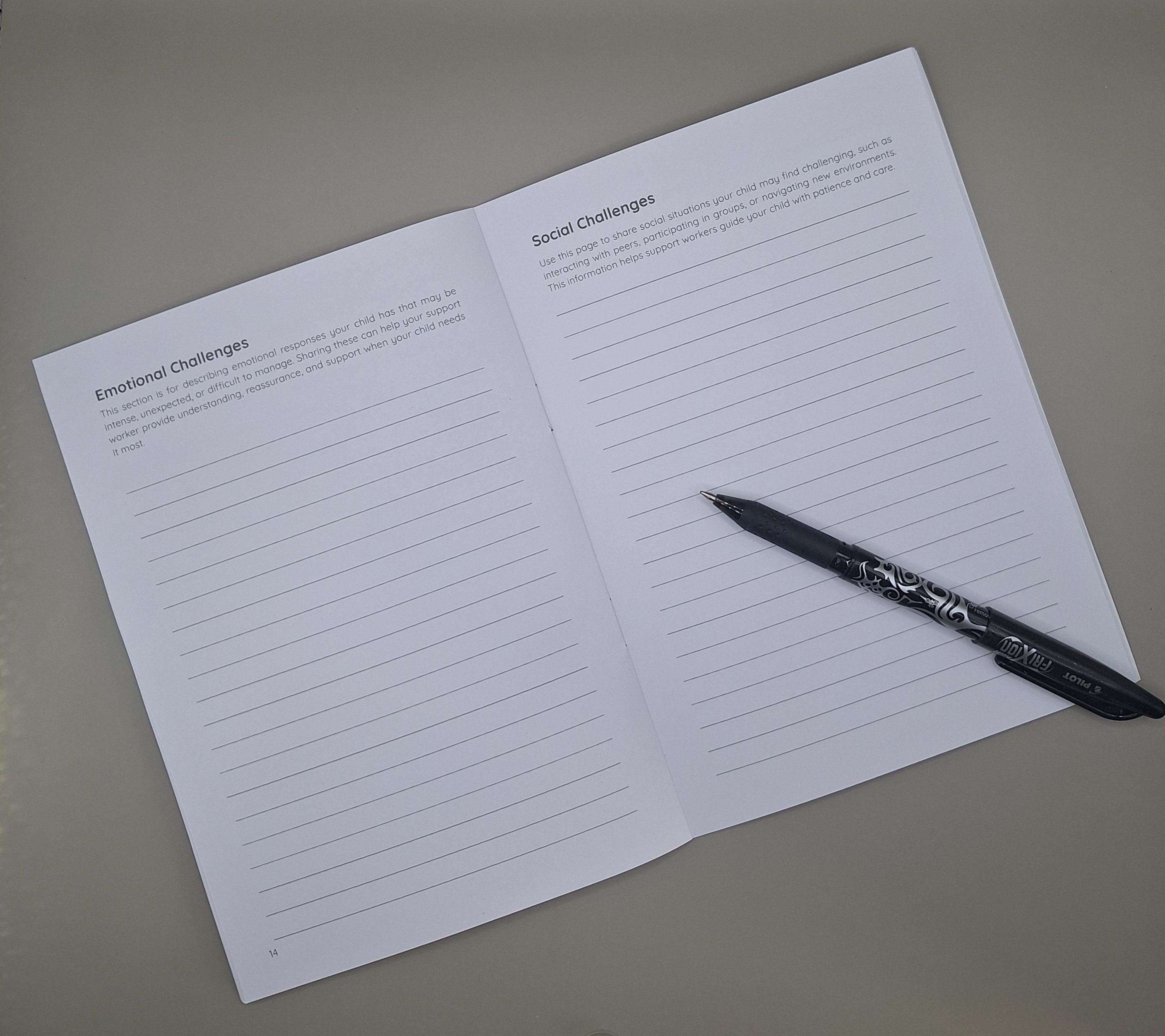 Care & Support Companion